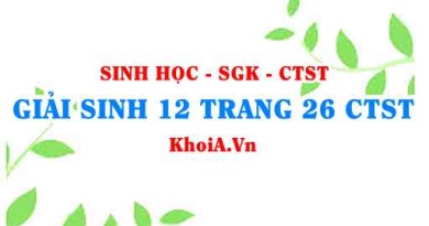 Giải Sinh 12 trang 26 Chân trời Sáng tạo